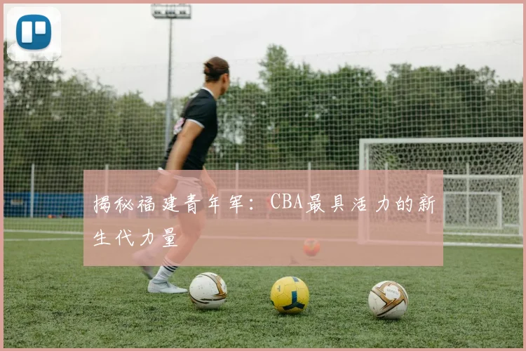 揭秘福建青年军：CBA最具活力的新生代力量